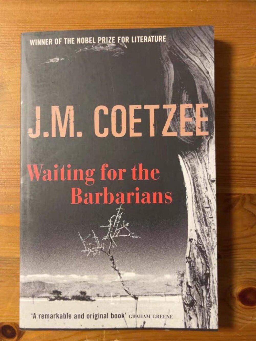 J.M.COETZEEWaiting for the Barbarians